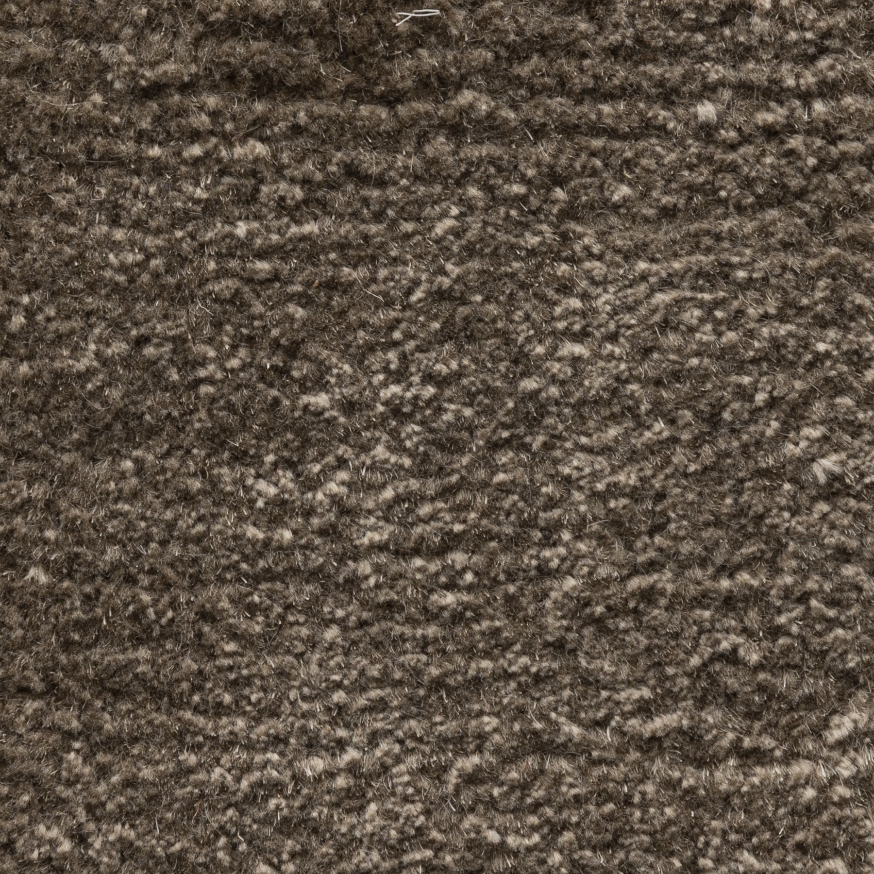 Mandalas Rug | HOLLY HUNT