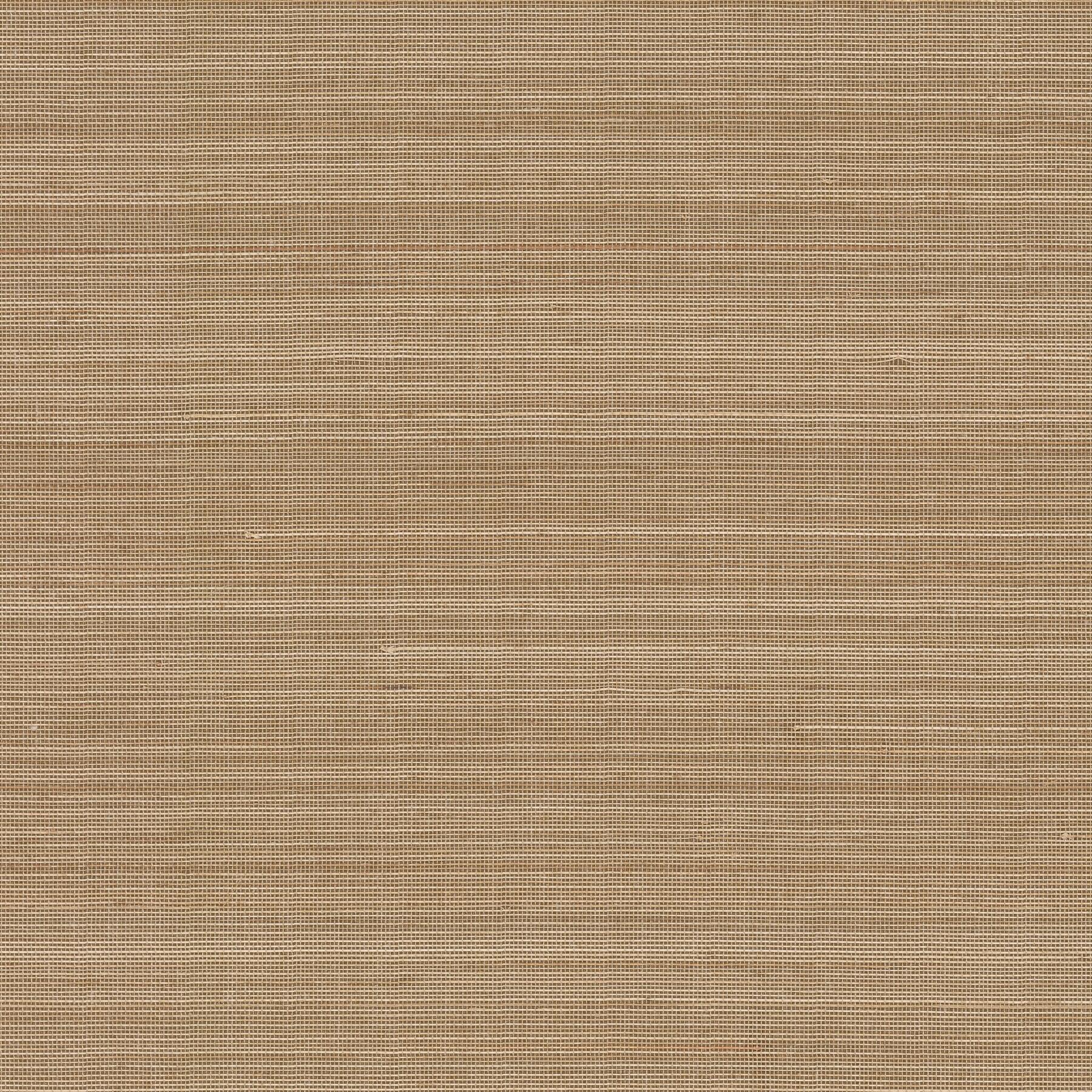 Abaca Horizon Biscotti