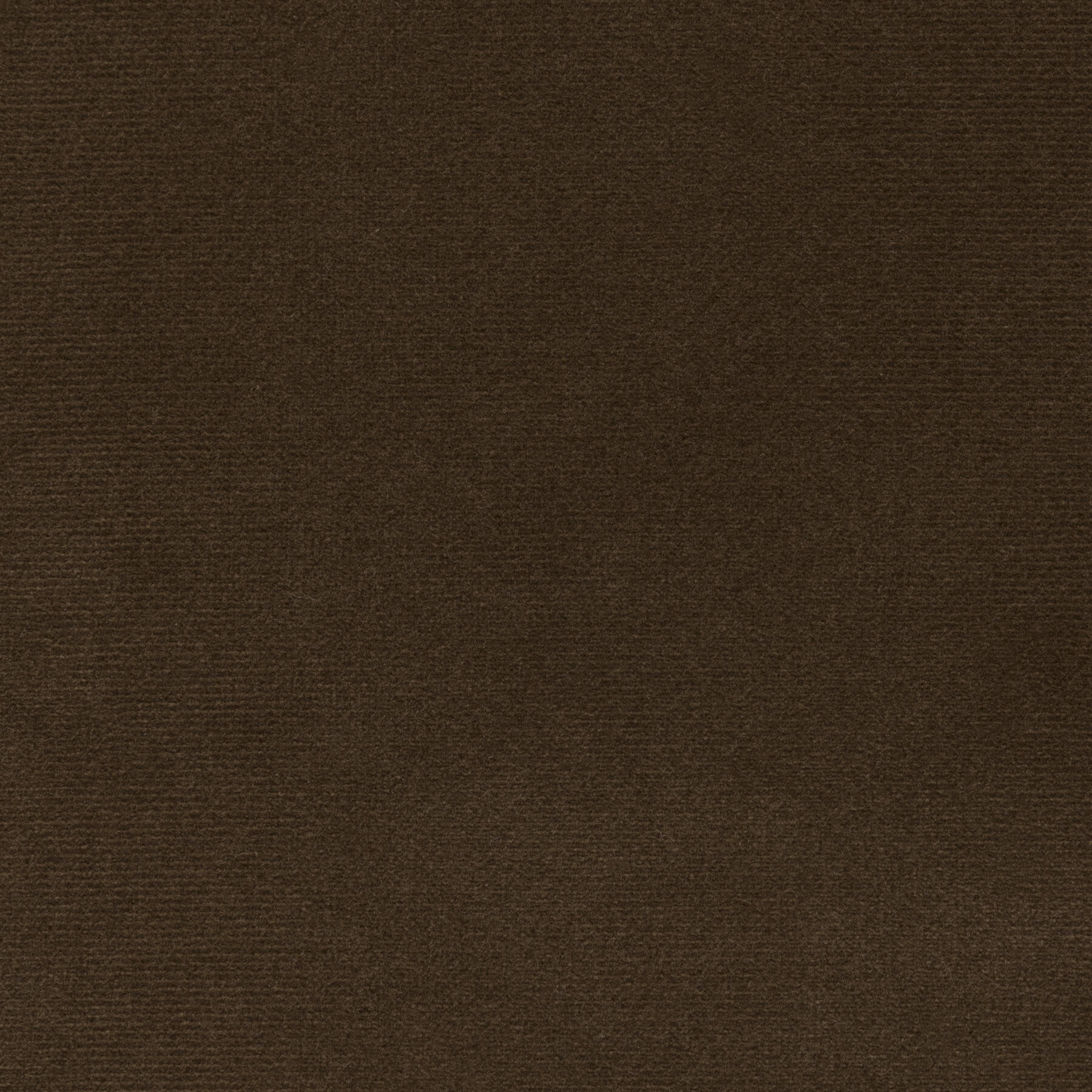 New Cotton: Antelope