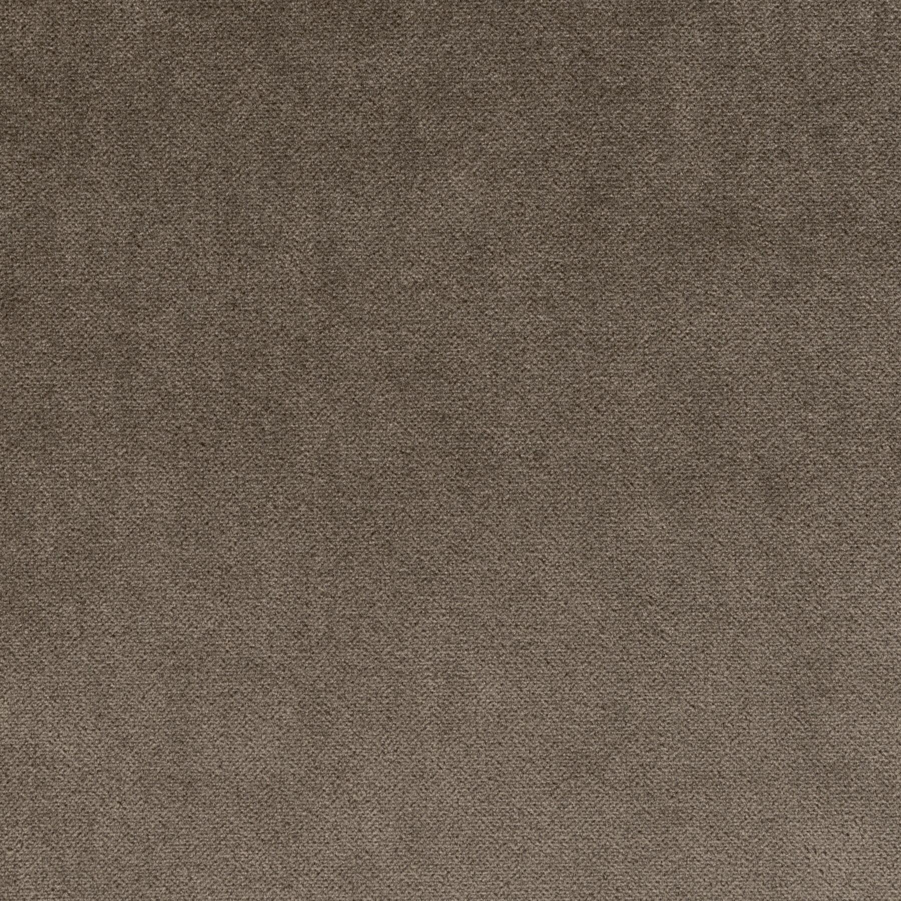 702/03 Sunray Velvet: Acorn