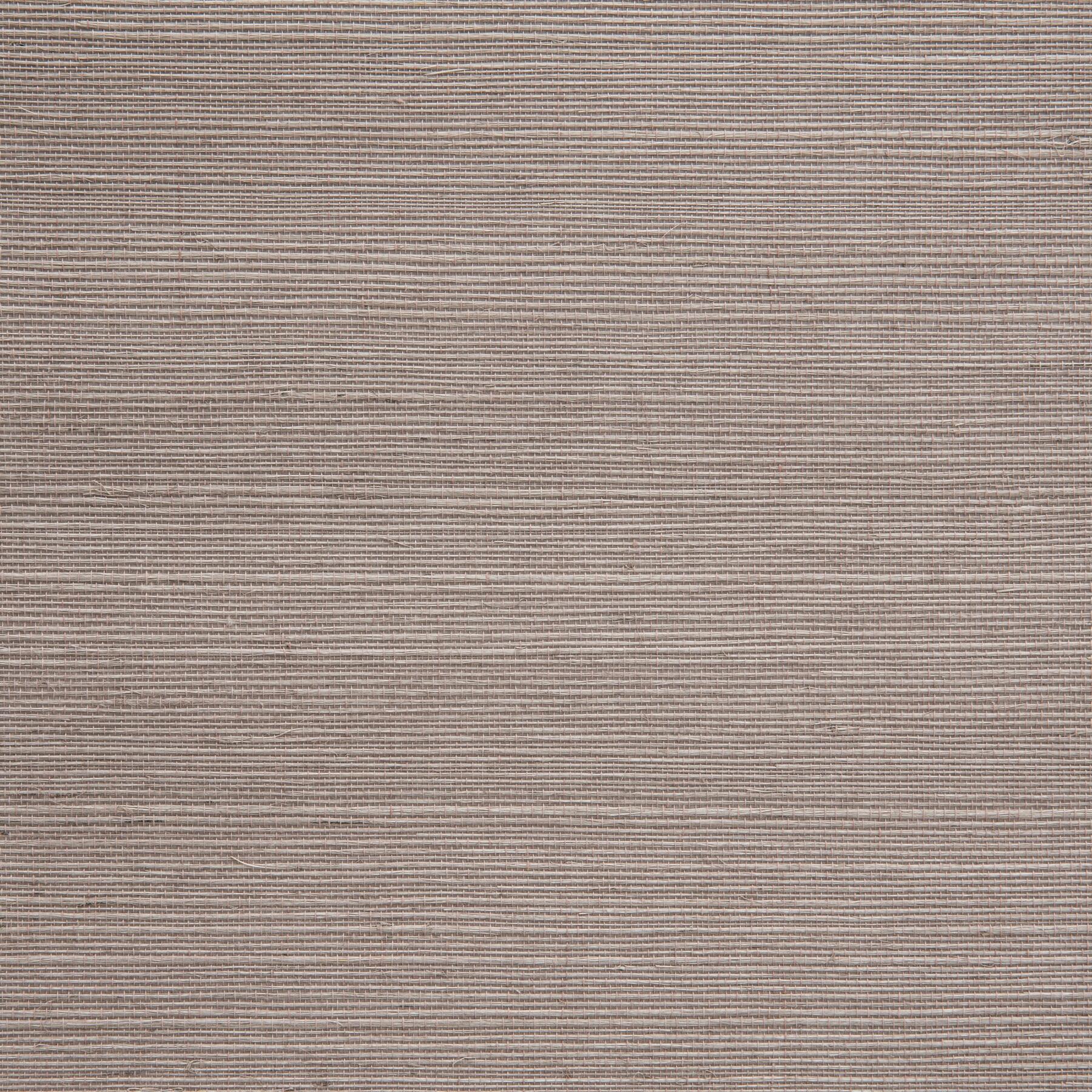 W1081/07 Tanga: Orchid