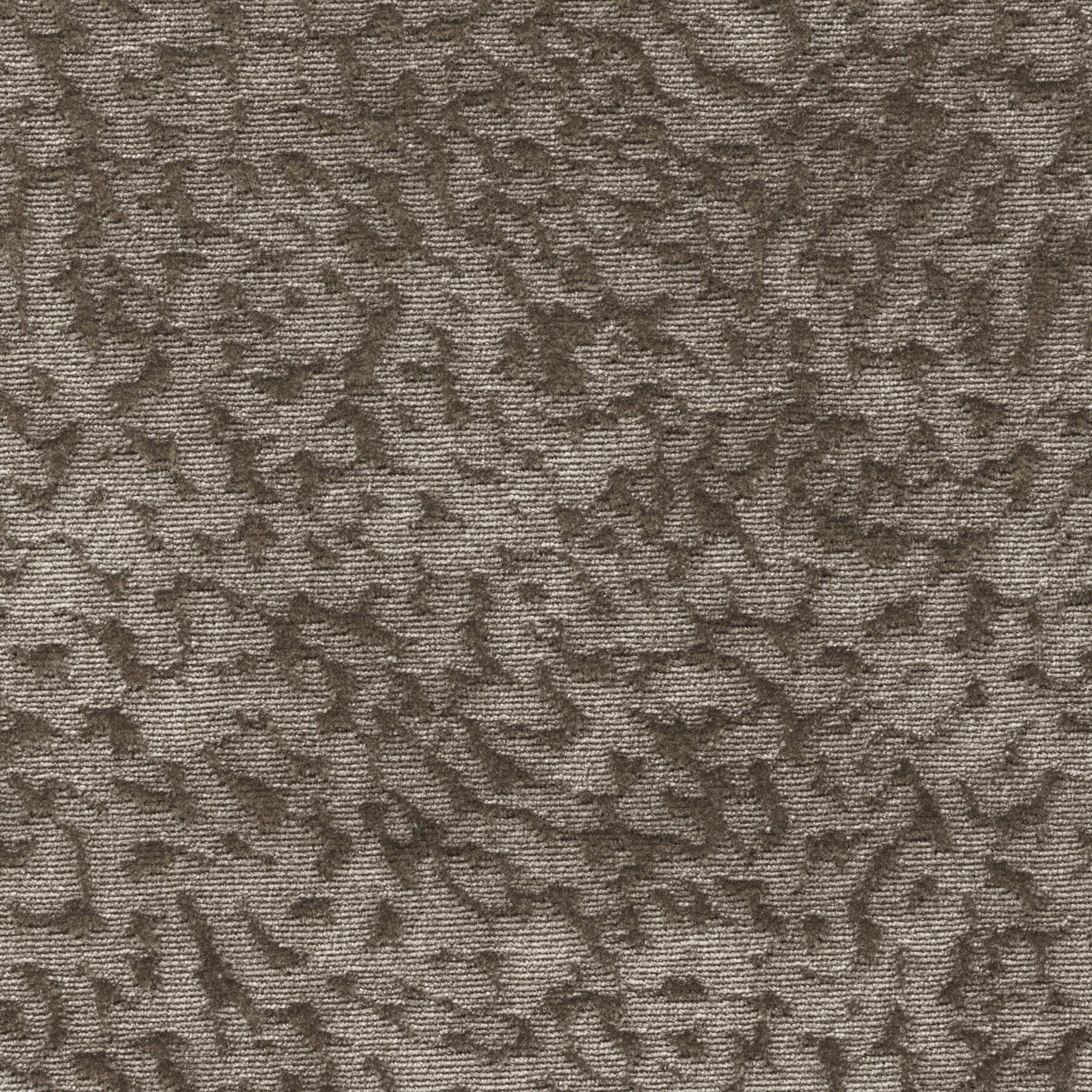 1566/04 Starling: Terra