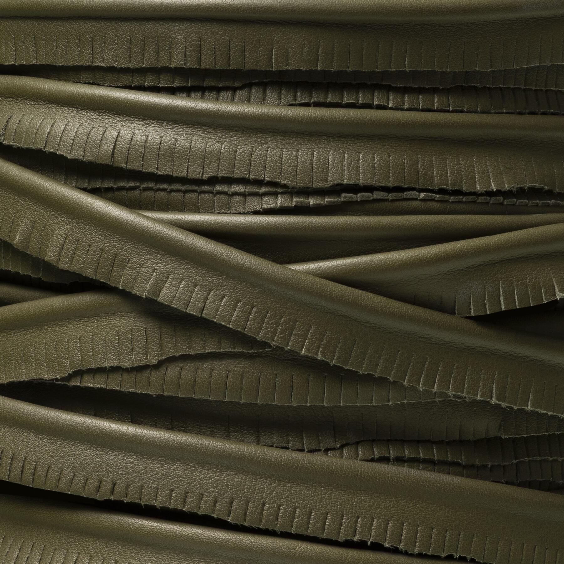 001/39 On The Edge: Dark Palm