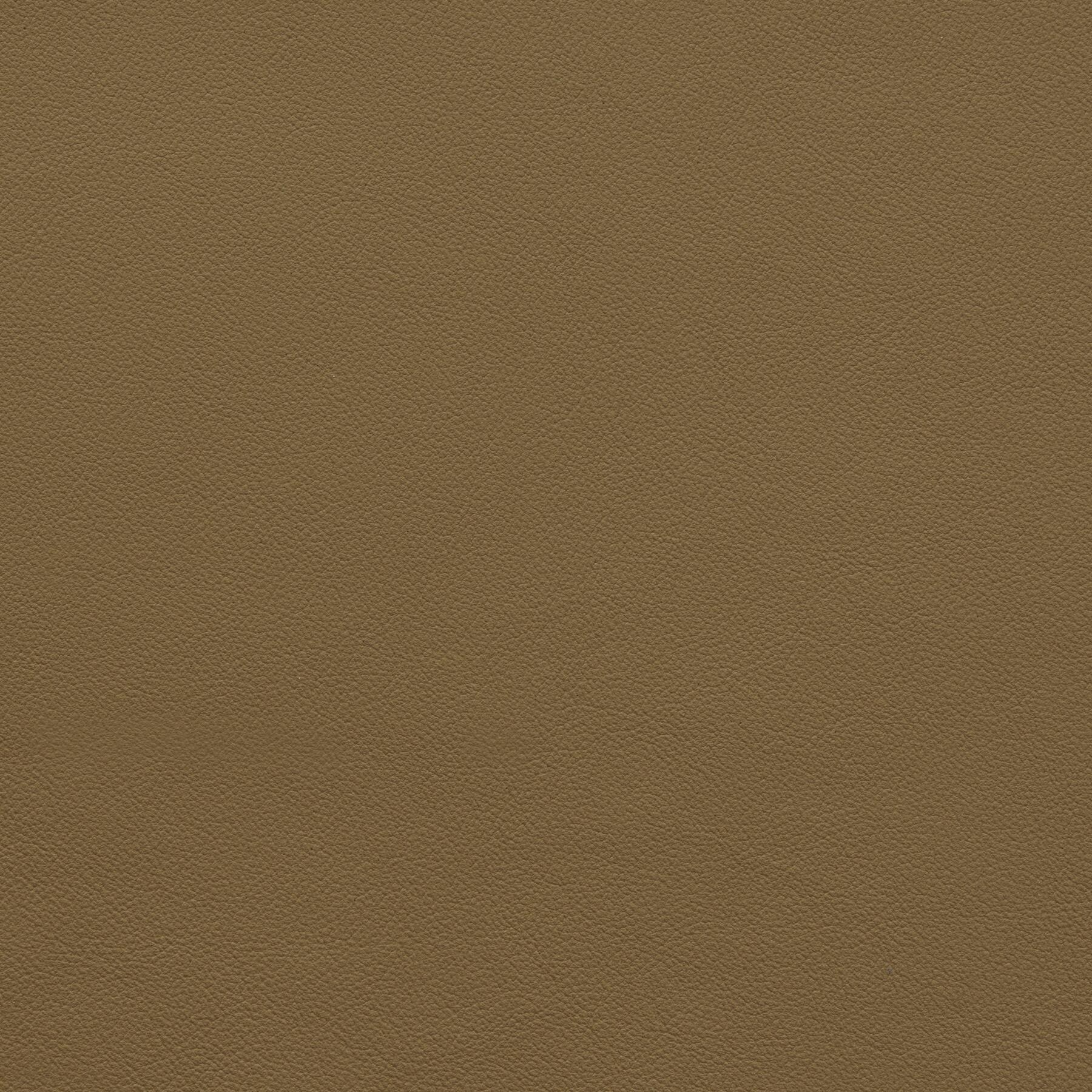 9380/12 Lucca: Cognac