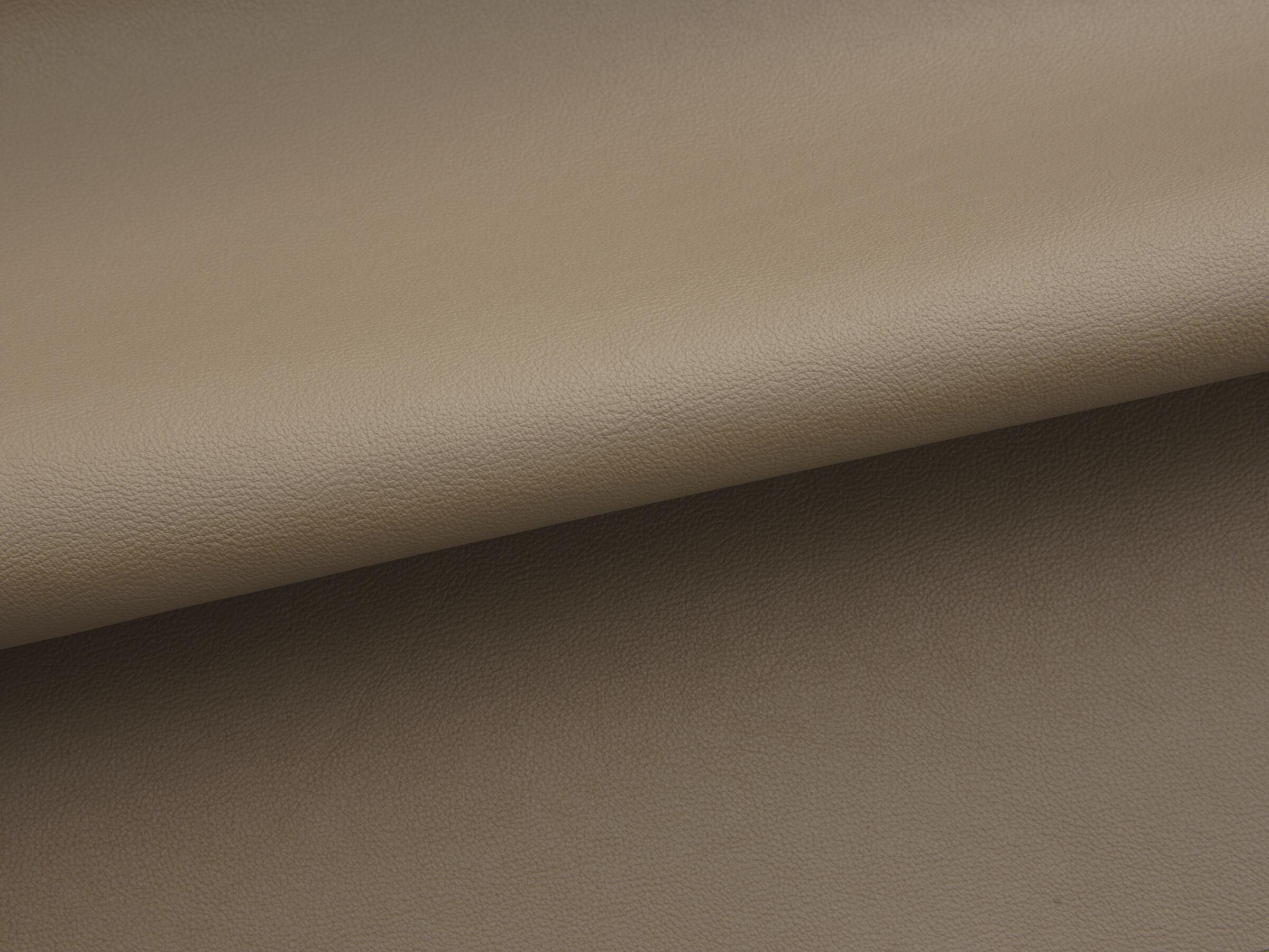 9380/14 Lucca: Mushroom