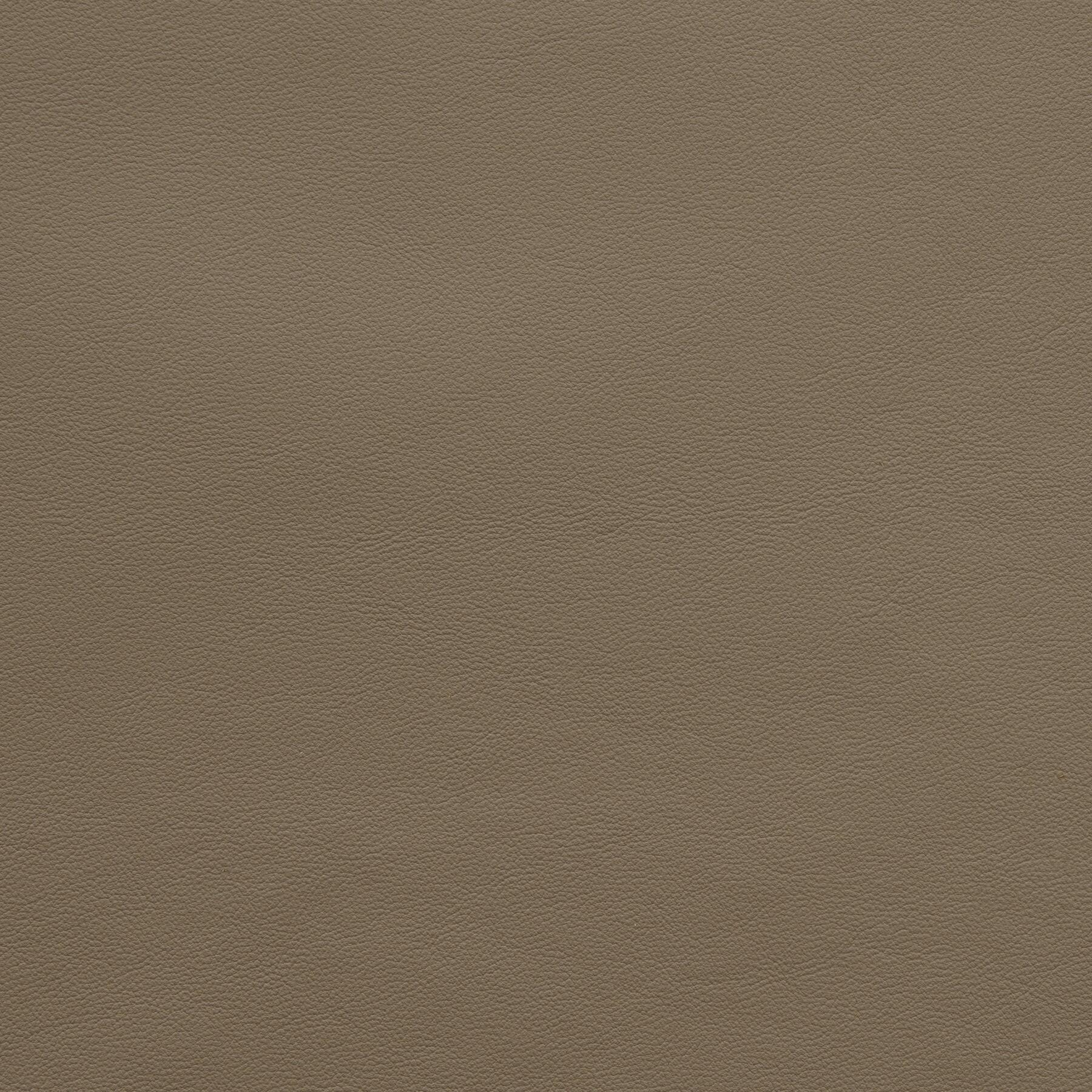 9380/14 Lucca: Mushroom