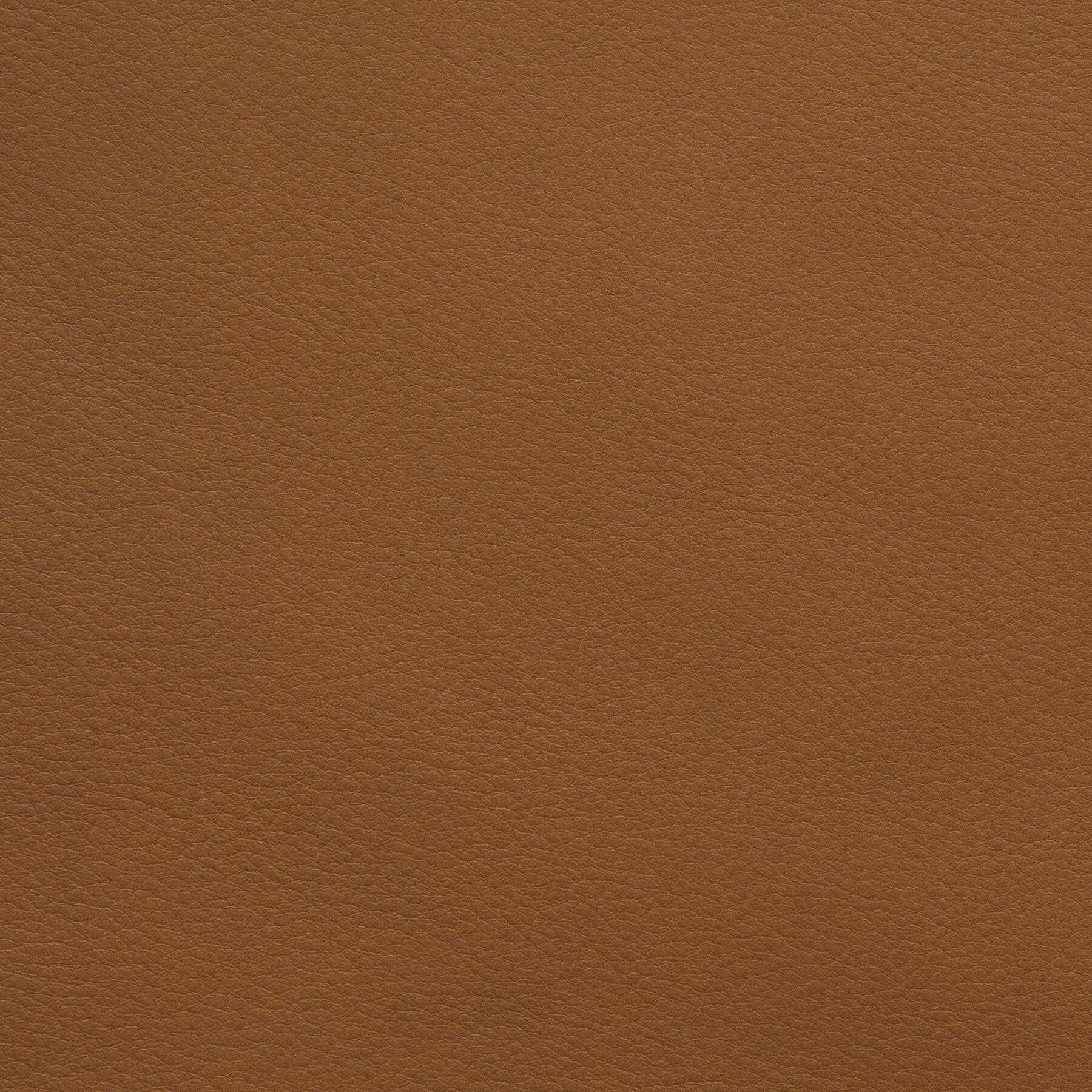 9903/04 Napoli: Chestnut