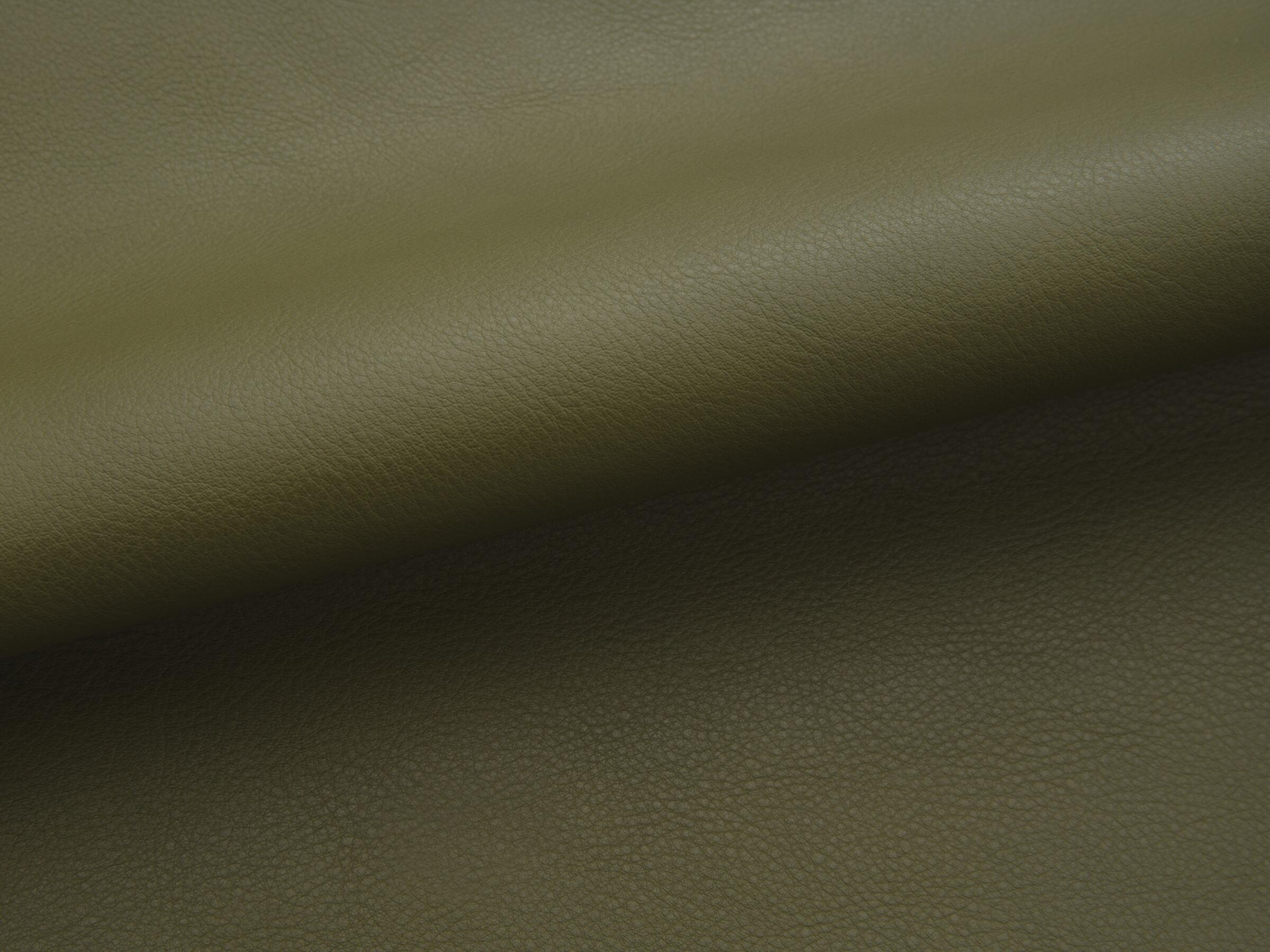 9903/10 Napoli: Dark Palm