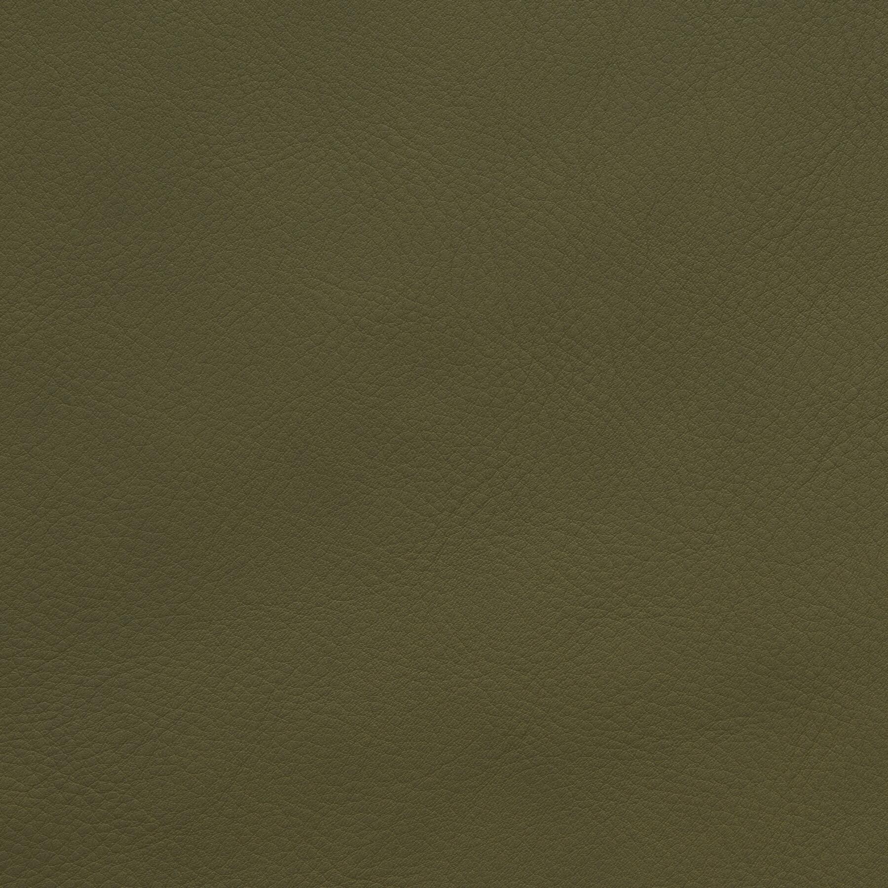 9903/10 Napoli: Dark Palm