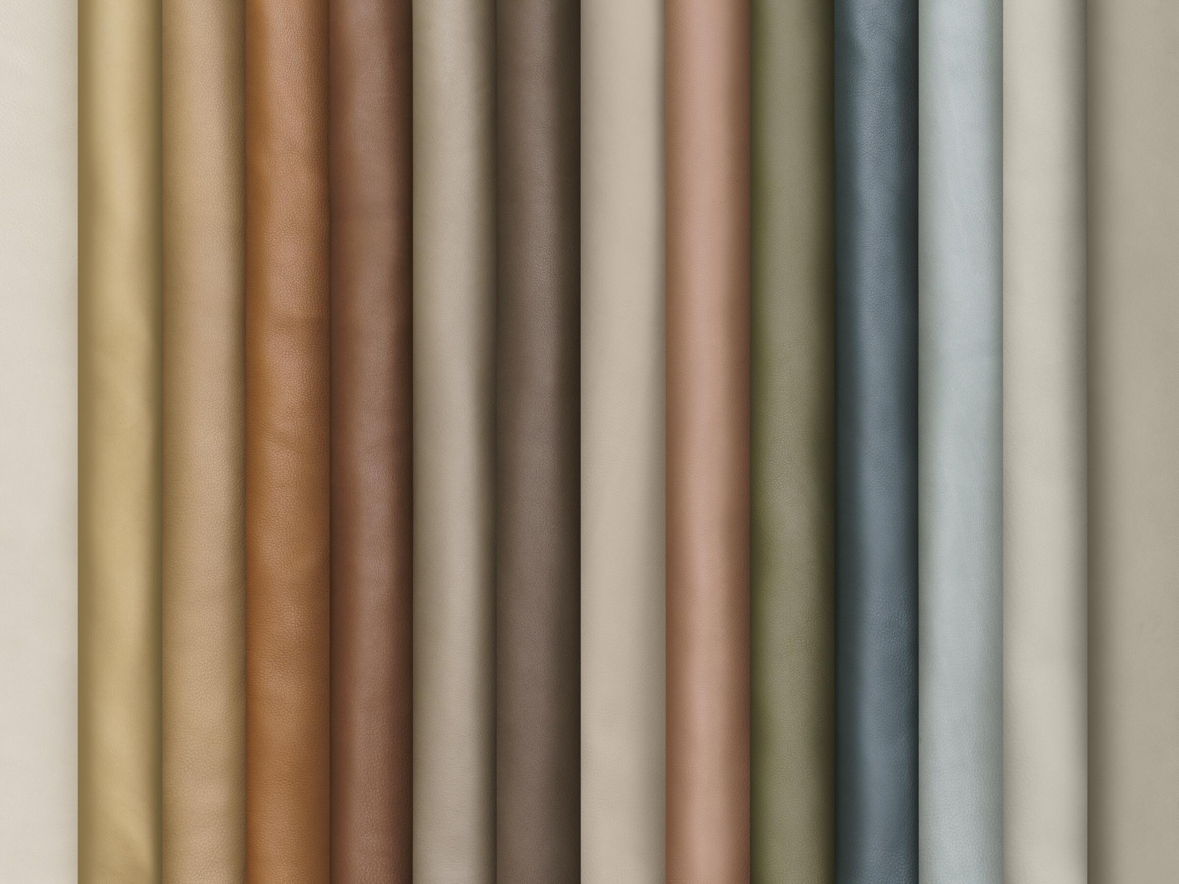 2025 Fall Soft Goods Schemes