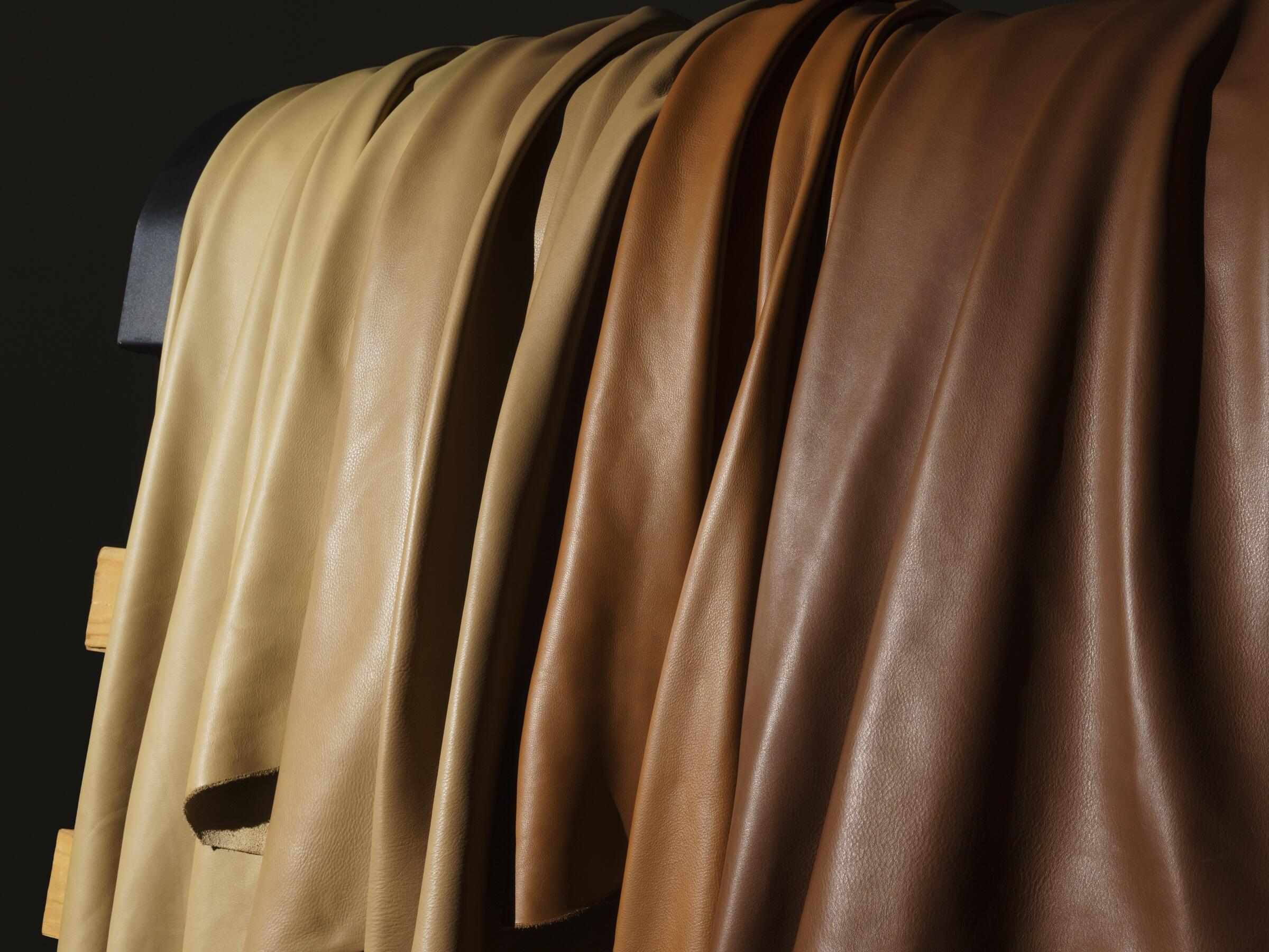 2025 Fall Soft Goods Schemes