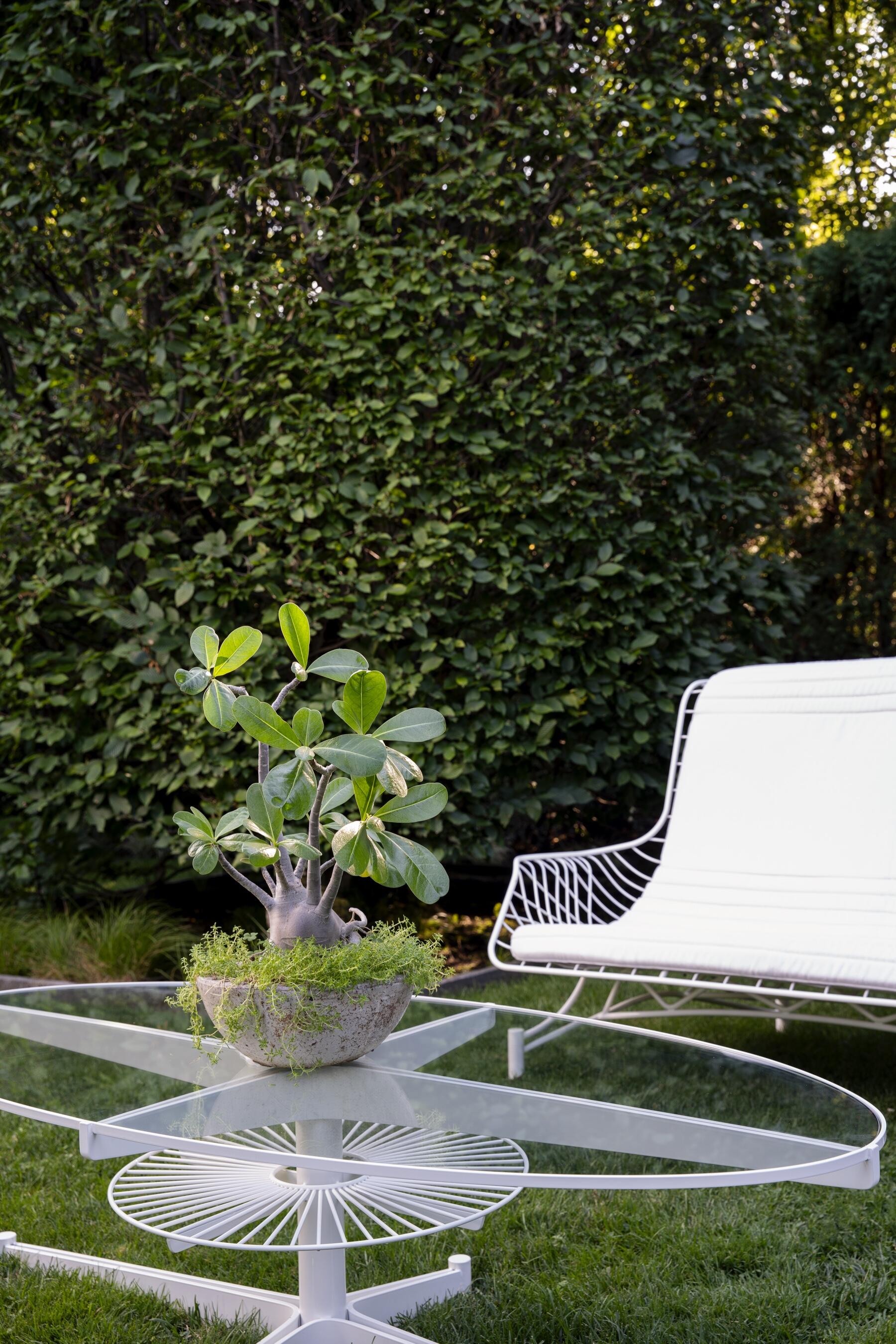 Vladimir Kagan Capricorn Collection