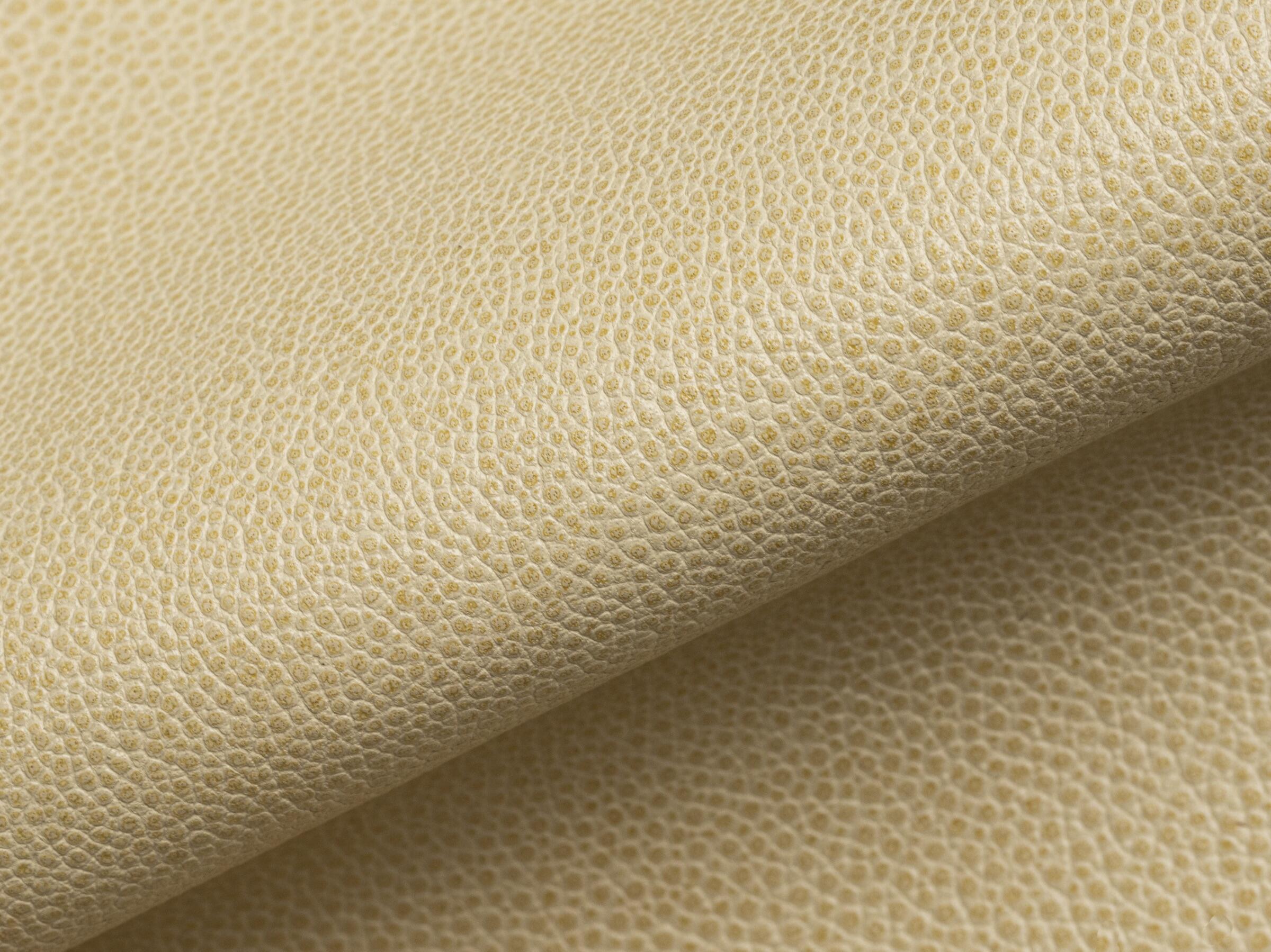 Stingray Ivory Coast