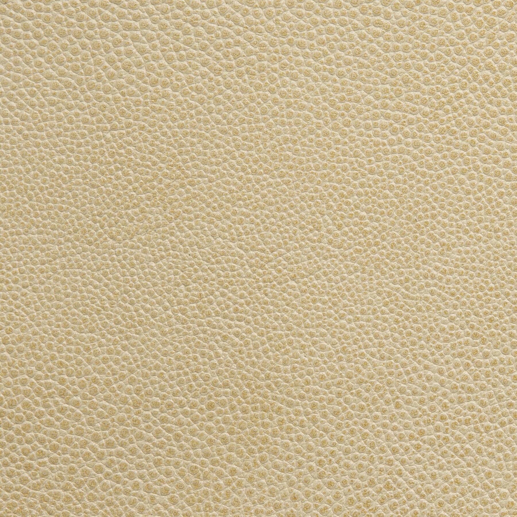 Stingray Ivory Coast