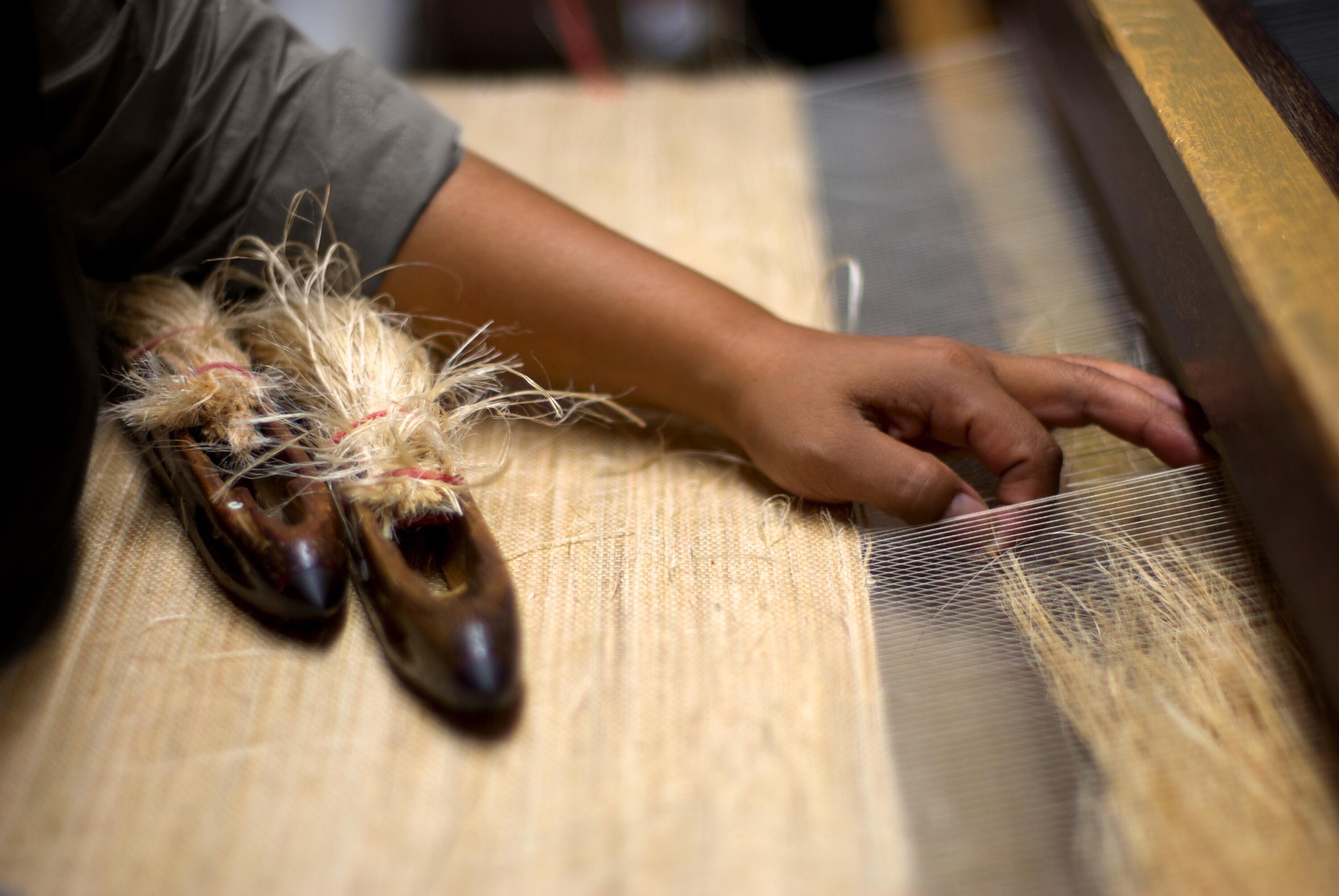 CONRAD Window Shades