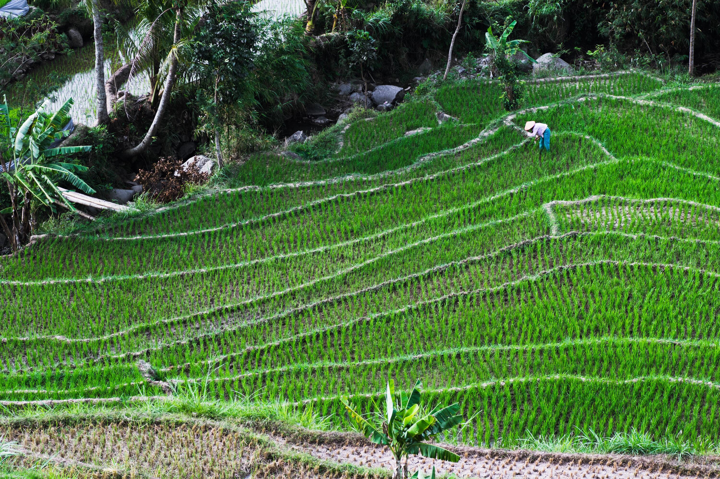 Conrad Sustainability