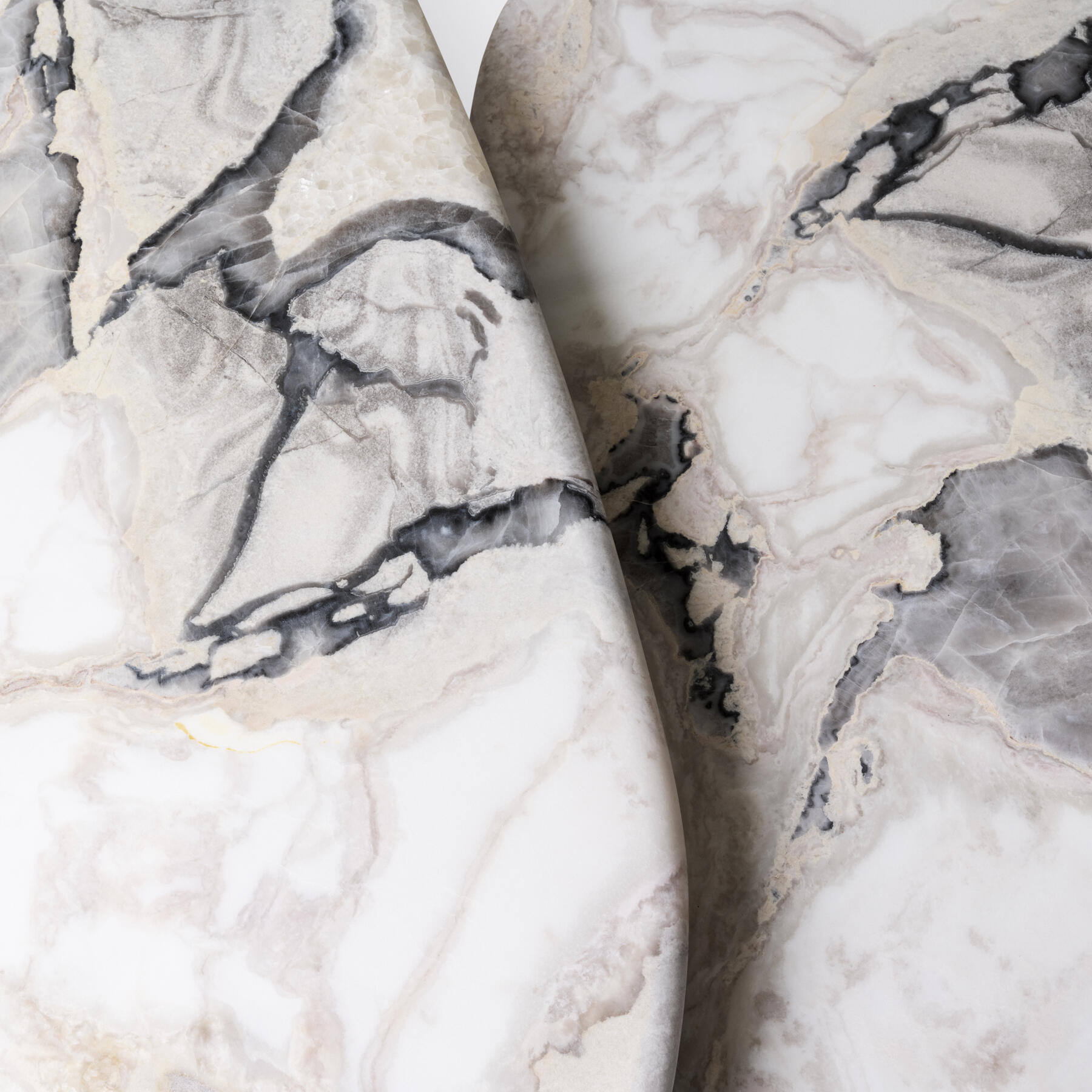 Madagascar Cocktail Table, White Cobra