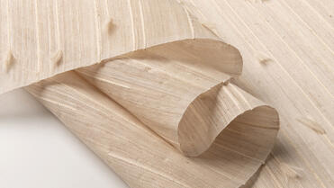 CONRAD Window Shades