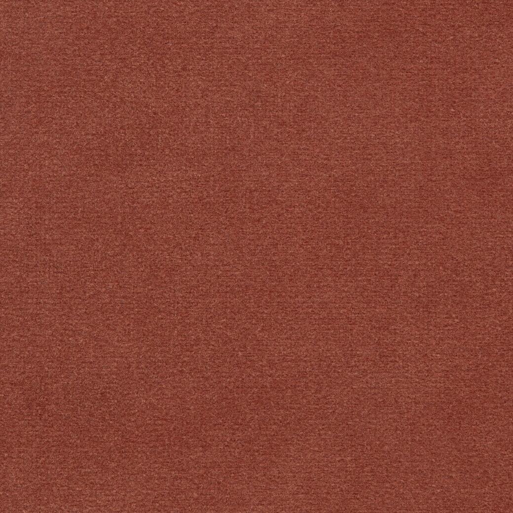 New Cotton Indian Summer