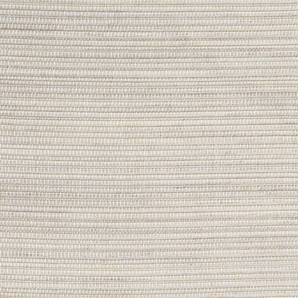 Straight Away Seashell