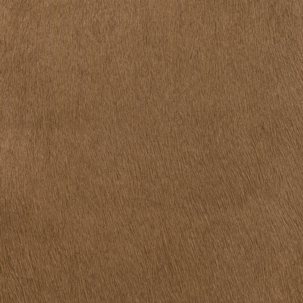 Mane Attraction: Ochre