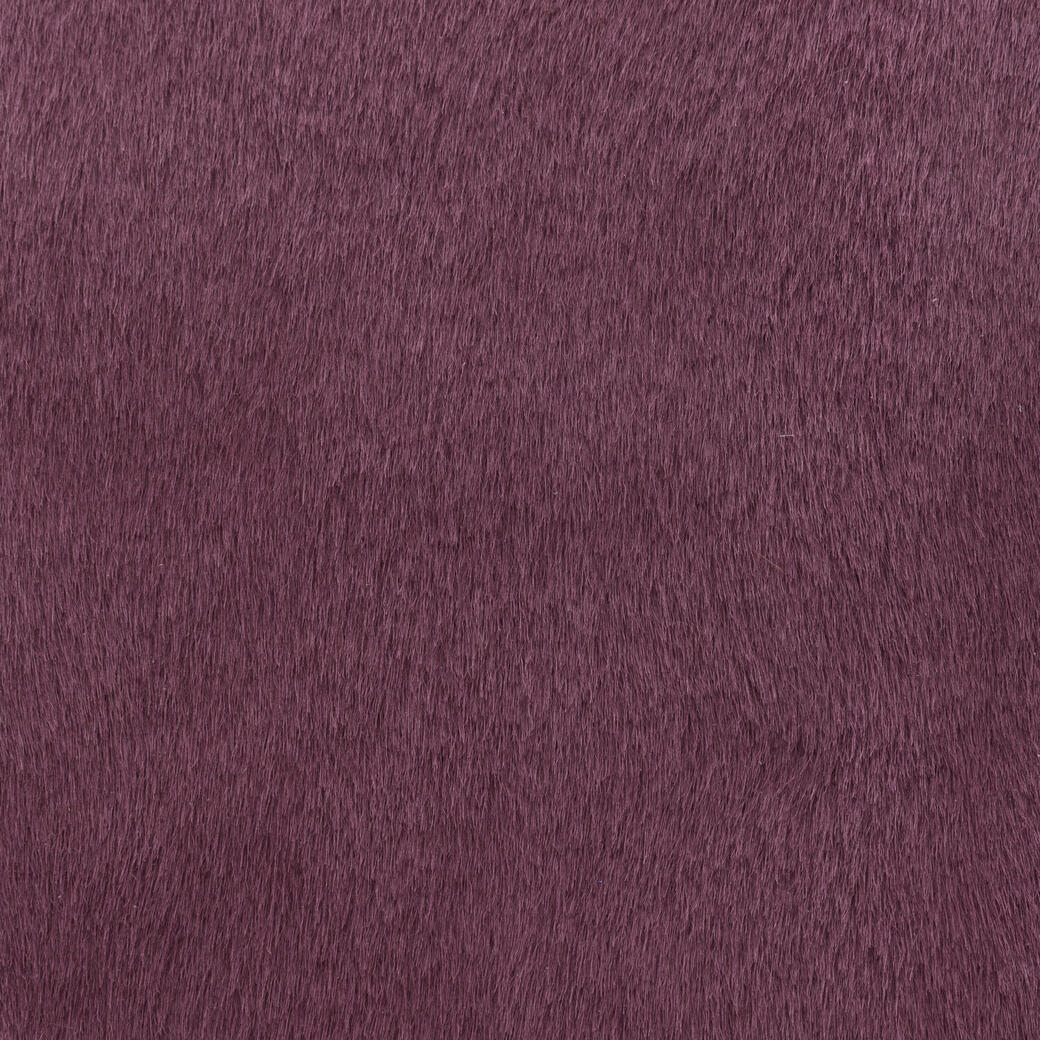 Mane Attraction: Huckleberry