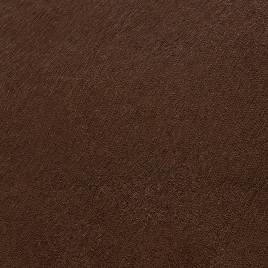 Mane Attraction: Saddle