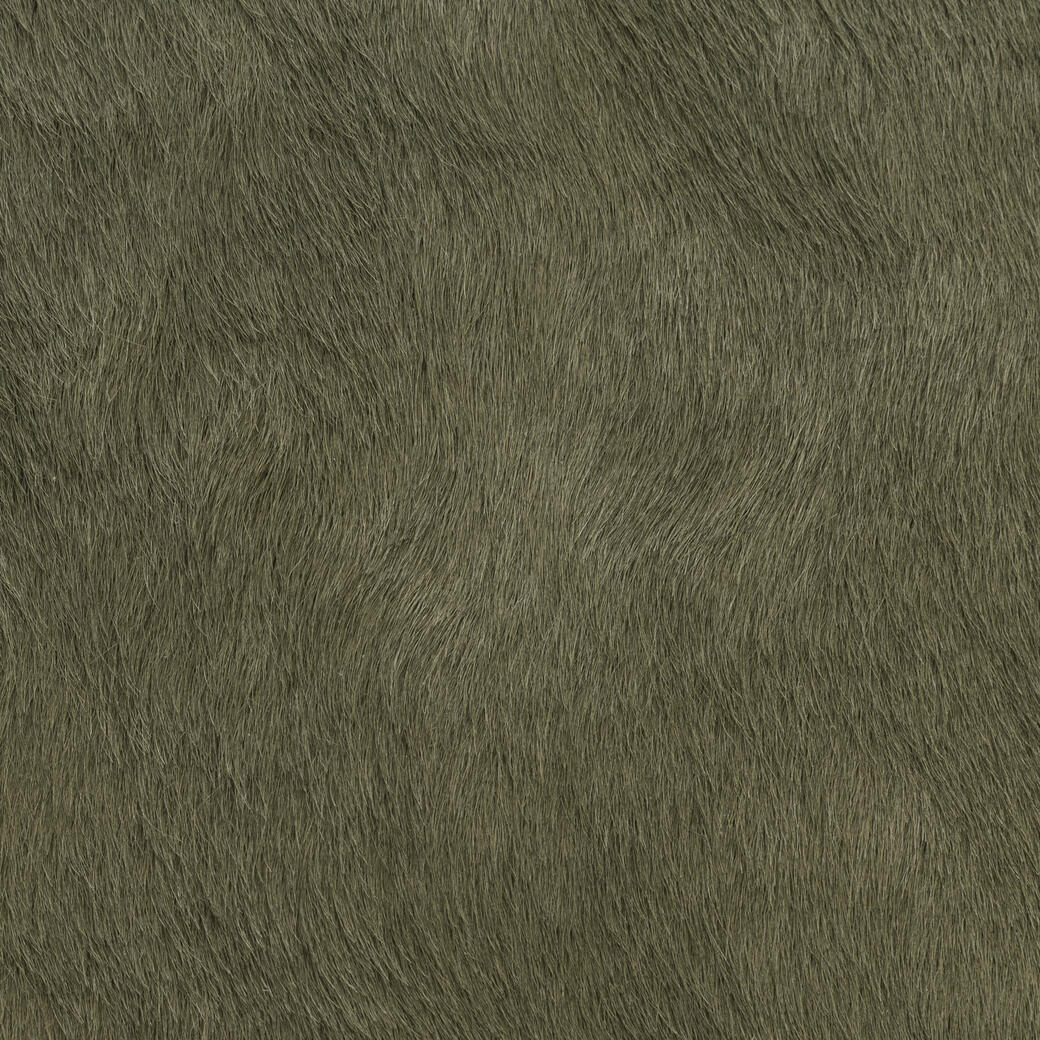 Mane Attraction: Oregano