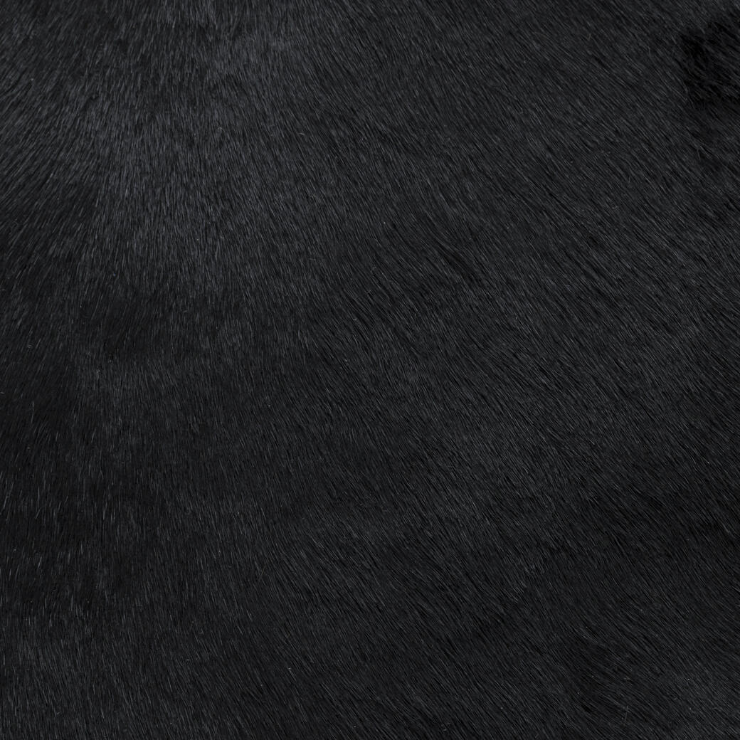 Mane Attraction: Onyx