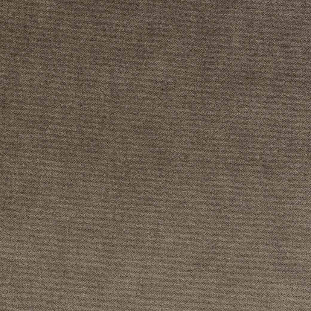 702/03 Sunray Velvet: Acorn