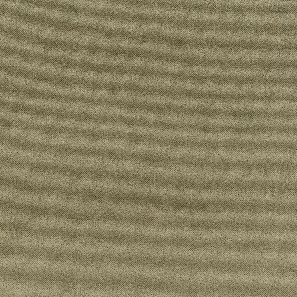 702/08 Sunray Velvet: Parrot