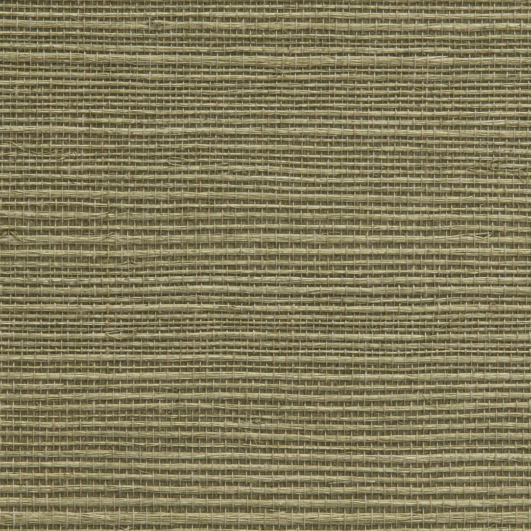 W1081/09 Tanga: Sage