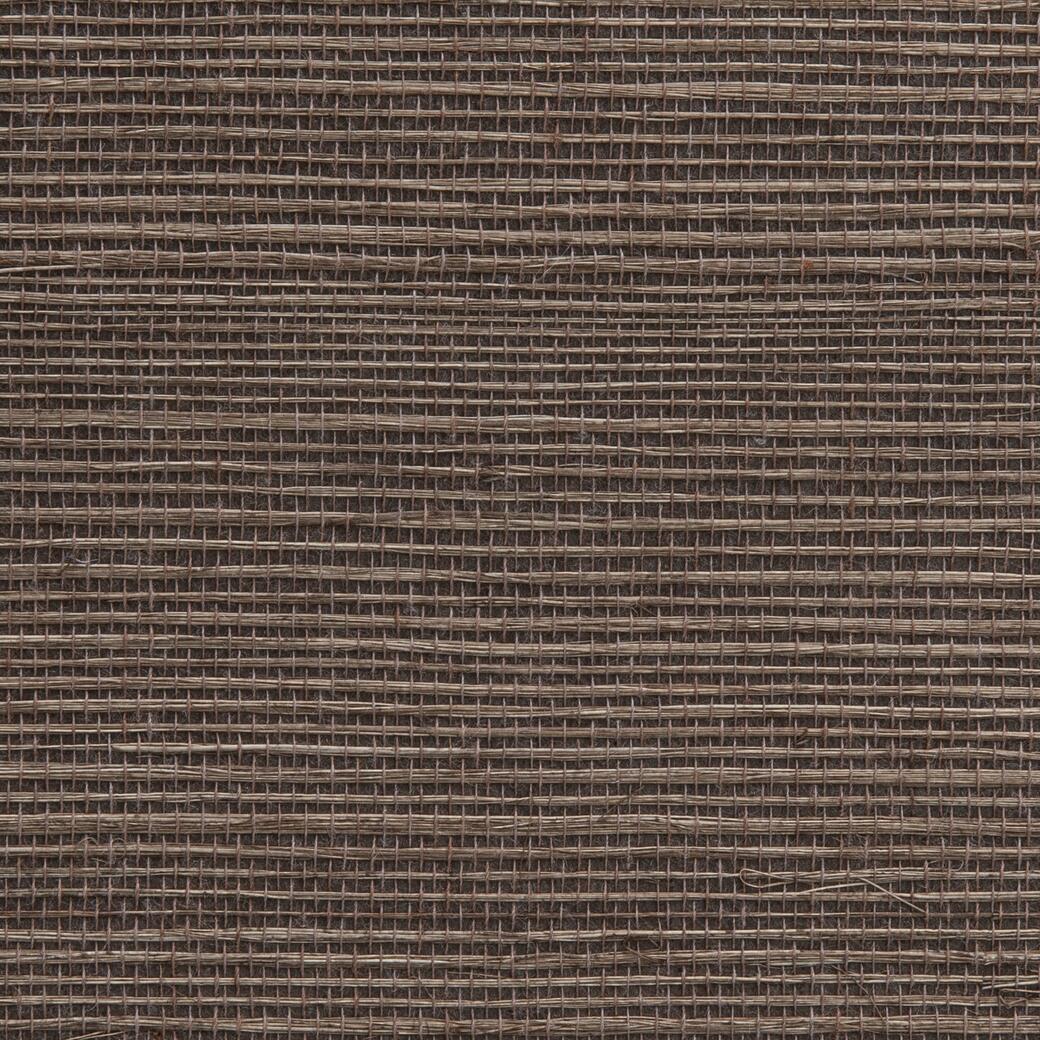 W1081/18 Tanga: Nutmeg