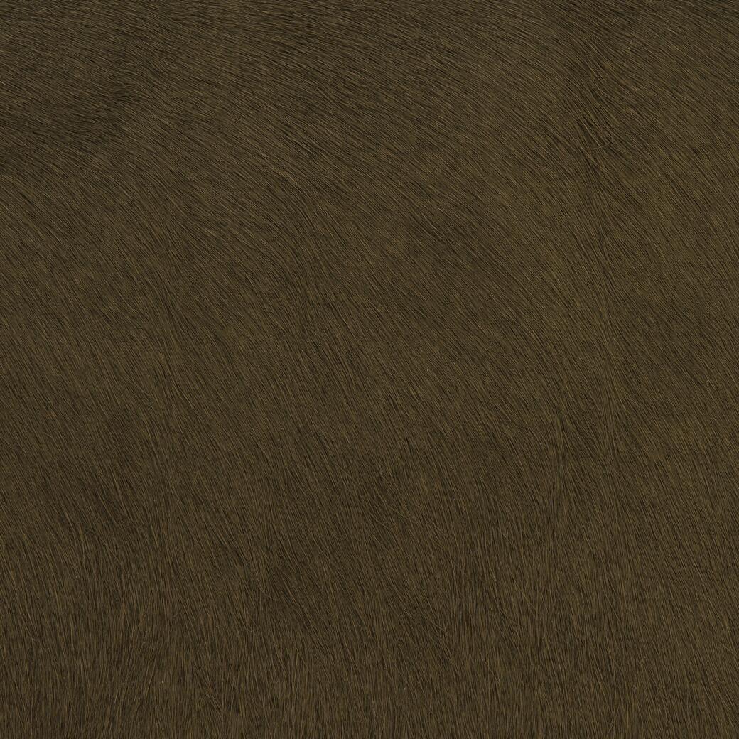 7050/19 Mane Attraction: Clove