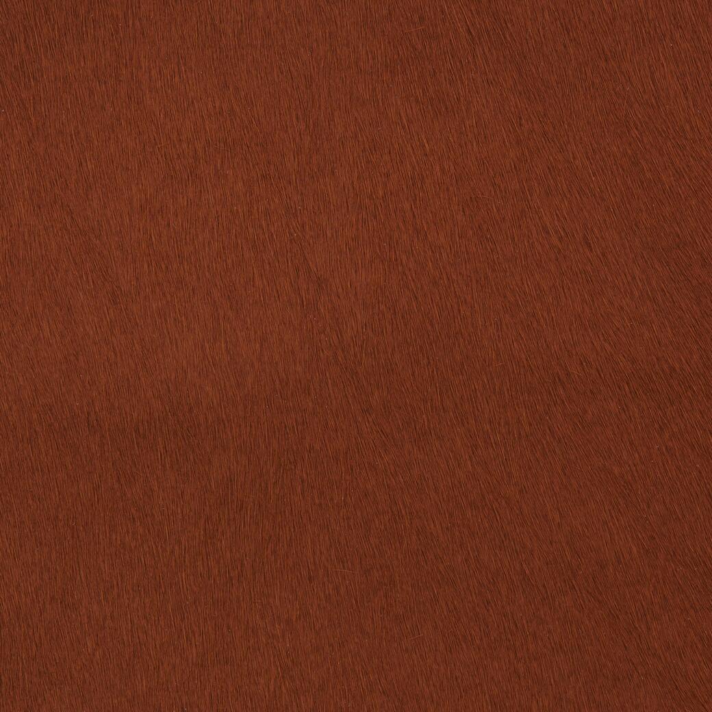 7050/22 Mane Attraction: Burnt Orange