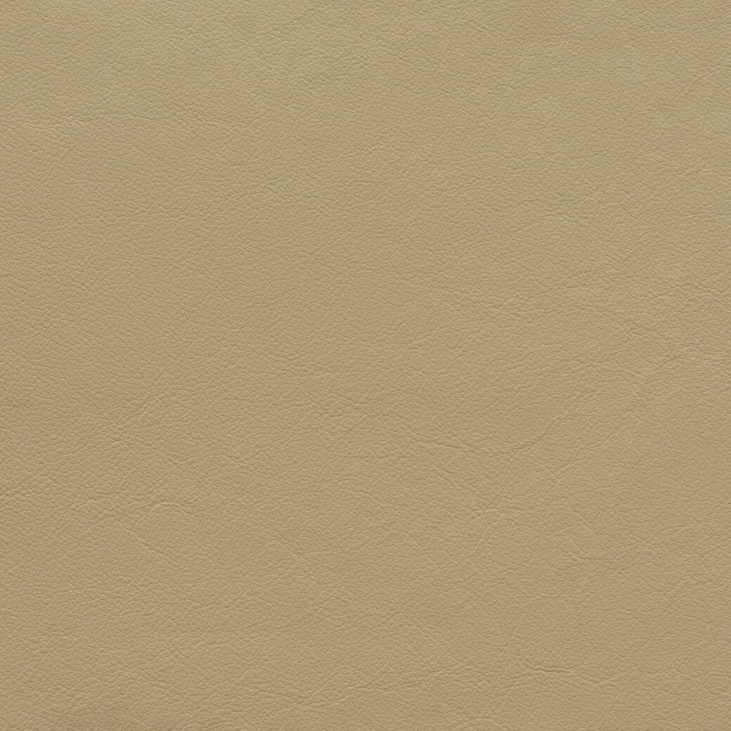 9380/11 Lucca: Desert Camel