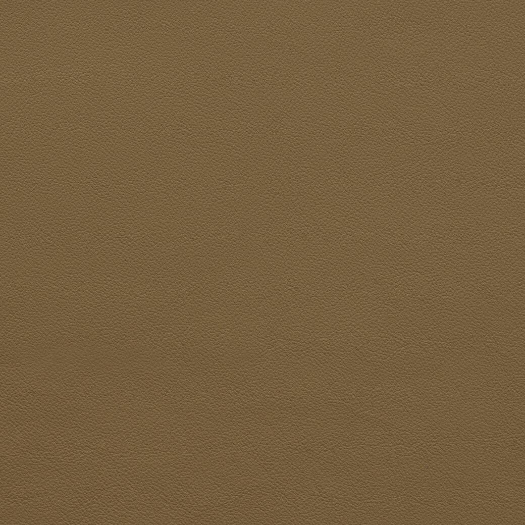 9380/12 Lucca: Cognac