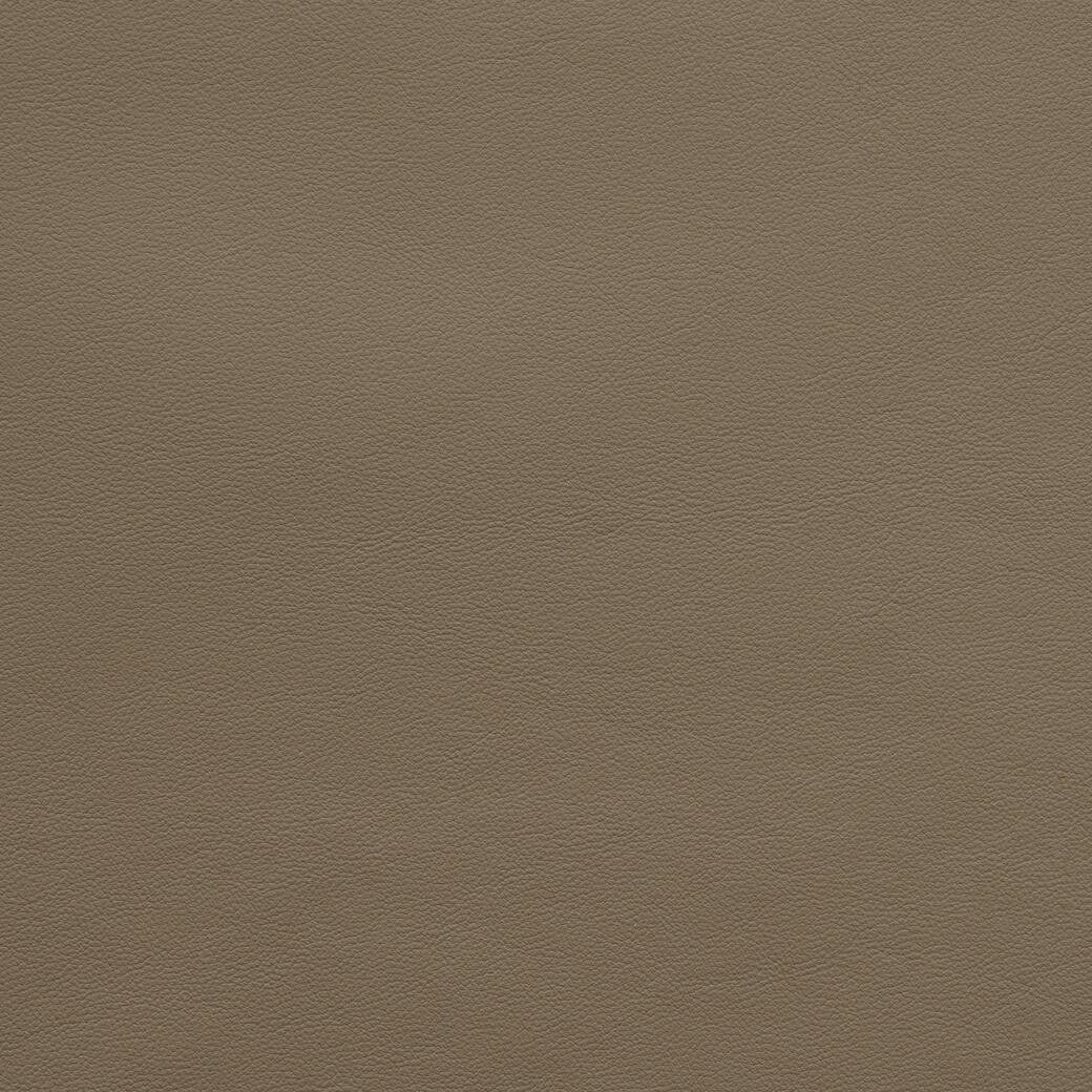 9380/14 Lucca: Mushroom