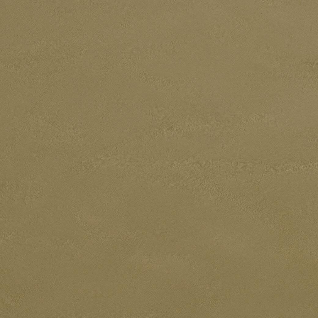 9381/03 Shine On: Koala