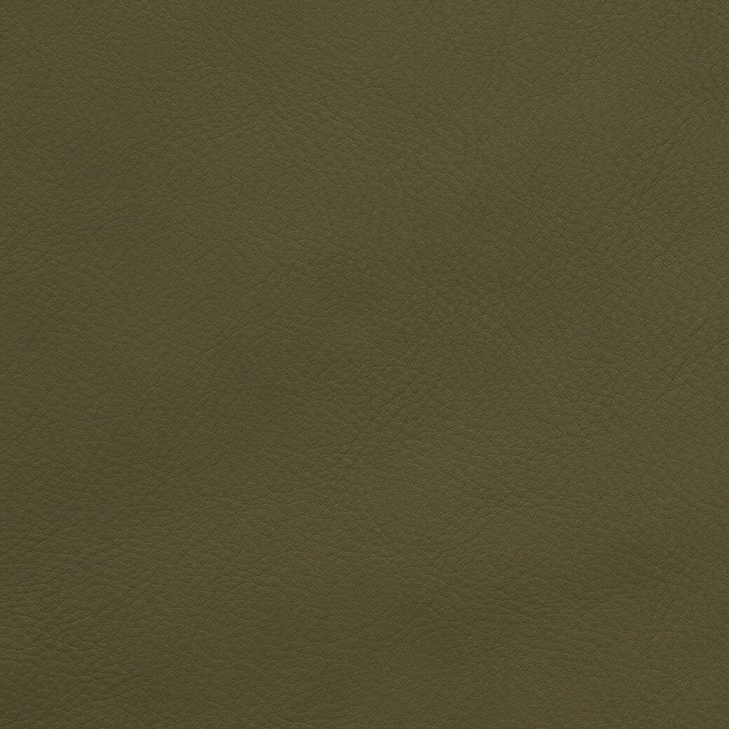 9903/10 Napoli: Dark Palm