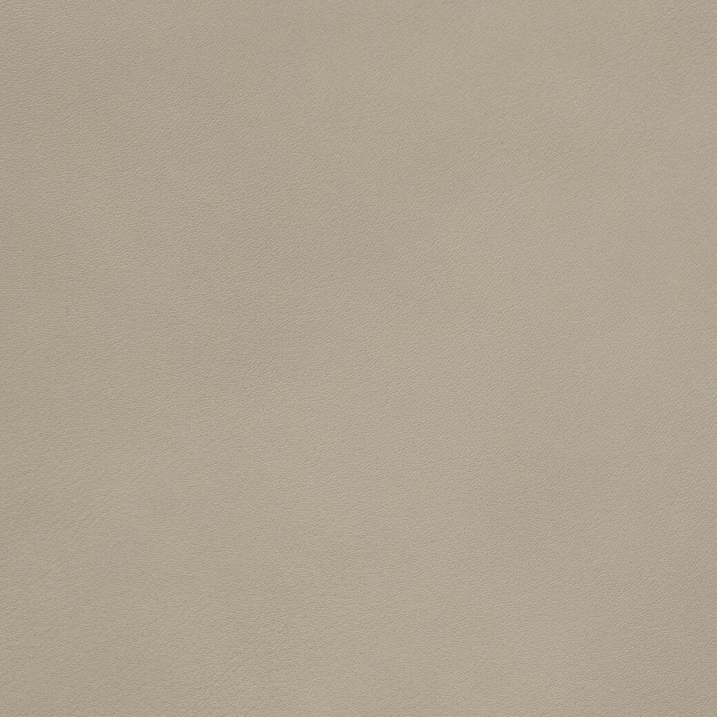 9903/14 Napoli: Driftwood