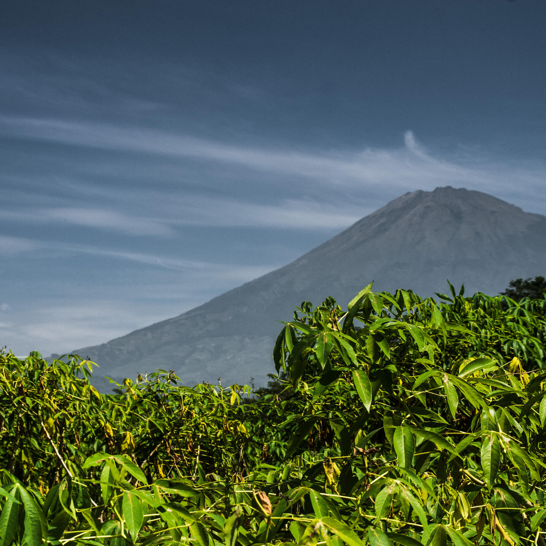 CONRAD Window Shades Sustainability