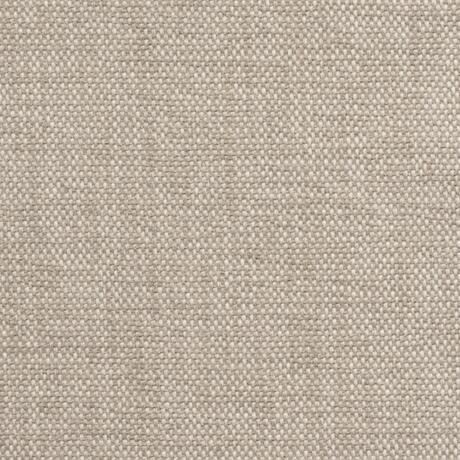 Soft Canvas: Sand Dollar (170/07)