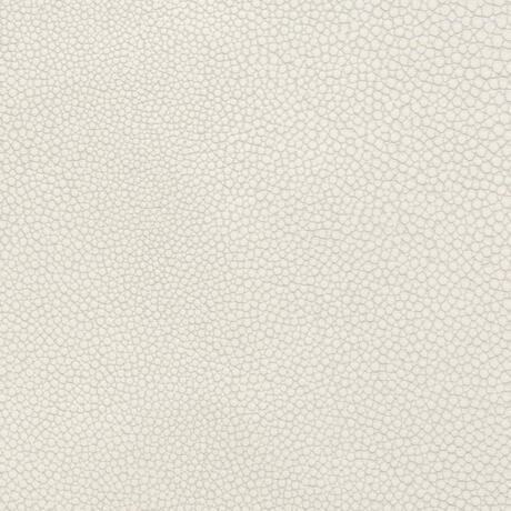 Stingray: South Cape (6000/76)