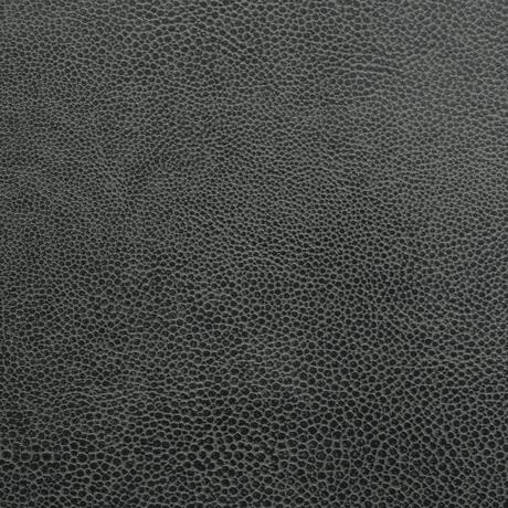 Stingray: Loden (6000/79)