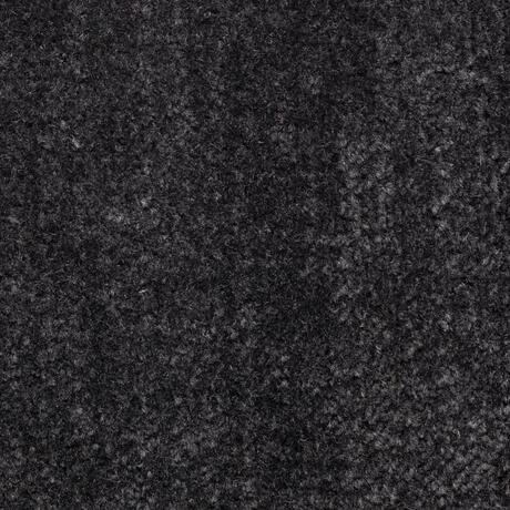 Lionheart: Onyx (213/04)