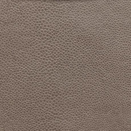 Stingray: Sea Otter (6000/42)