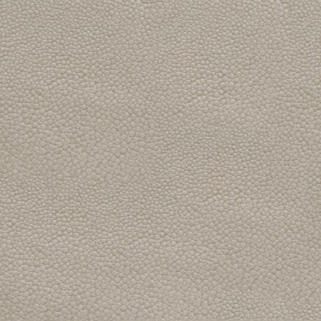 Stingray: Silverfish (6000/52)