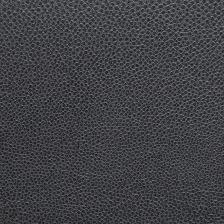 Stingray: Blue Lagoon (6000/57)