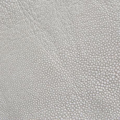 Stingray: Jellyfish (6000/62)